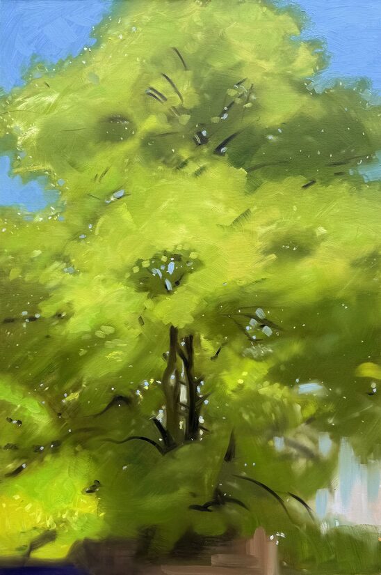 Tivoli Tree