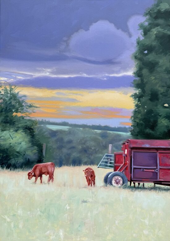Two Calves At Dawn