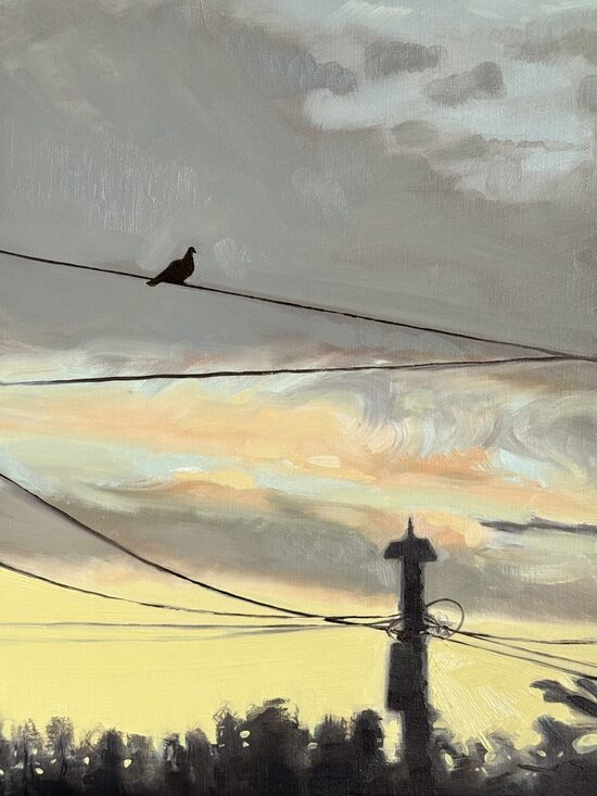 Pigeons and Pilons