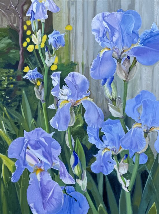 Irises